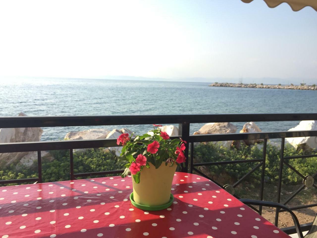 Kallisti Apartment Skála Kallirákhis 외부 사진